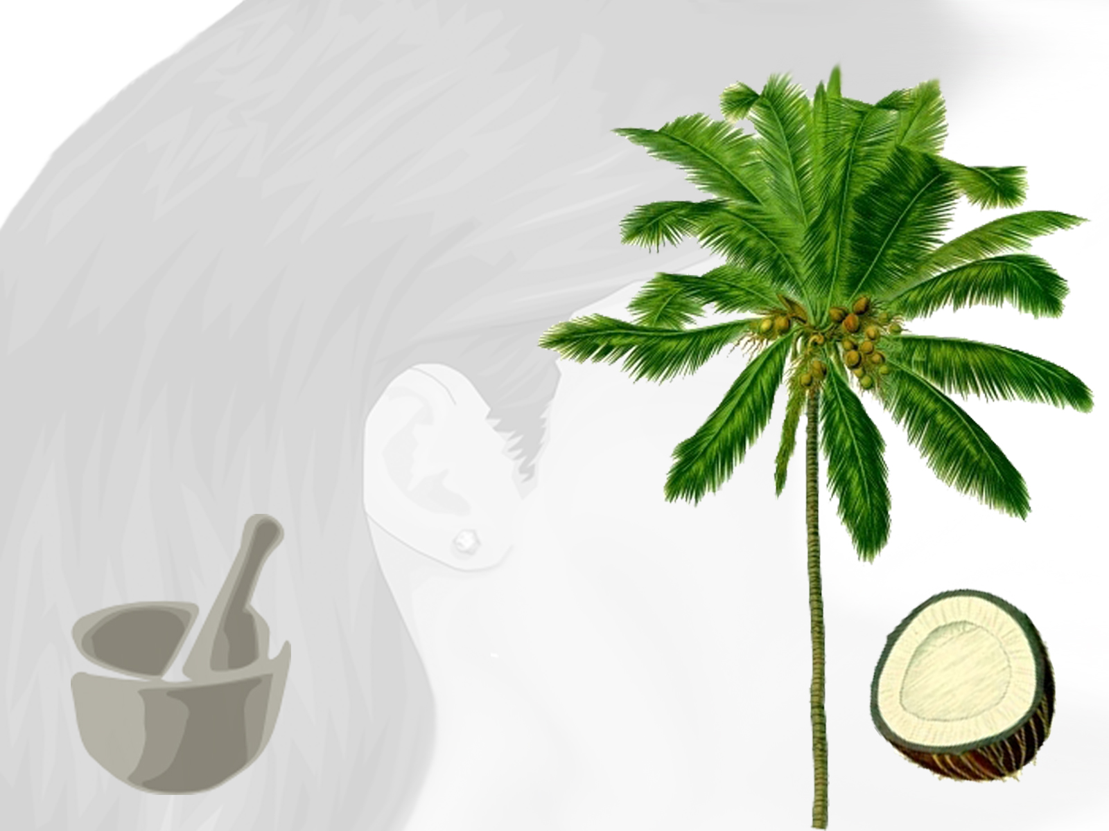 La maschera alginate della persona per comprare