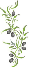 olio di oliva - polifenoli - Oleuropeina 