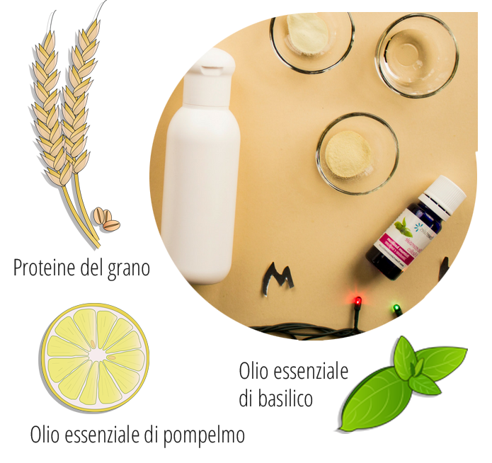 ingredienti shampoo al basilico e pompelmo