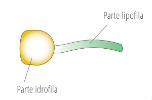 cos'è un tensioattivo - molecola