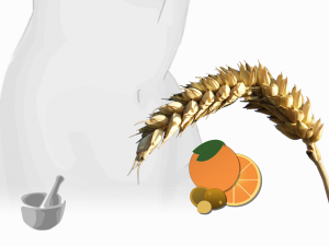 rimedi inestetismi della cellulite