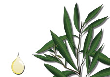 Tea Tree oil - Flower Tales: cosmetica naturale fai da te