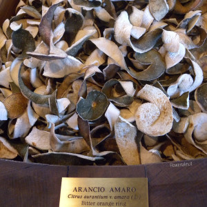 Arancio amaro essiccato - Flower Tales: cosmetica naturale fai da te
