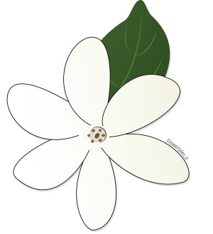Tiaré - Gardenia Taithensis - Flower Tales cosmetica naturale fai da te