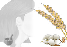 maschera capelli doposole per capelli secchi o dopo il mare sole sale e cloro - Flower Tales cosmetica naturale fai da te