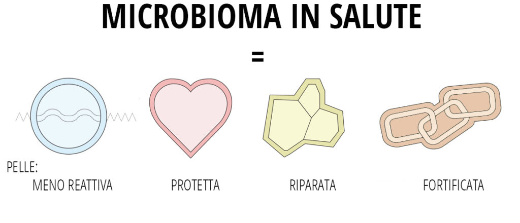 microbioma ed omeostasi cutanea