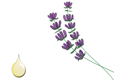 Olio essenziale di lavanda puro cosmetico - Flower Tales cosmetica naturale fai da te