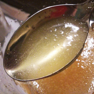 ricetta shampoo con sles e pompelmo condizionante - Flower Tales cosmetica naturale fai da te 